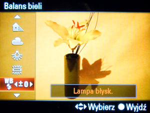 Wykorzystanie lampy b�yskowej -  Fotoszko�a Sony: Lekcja 7