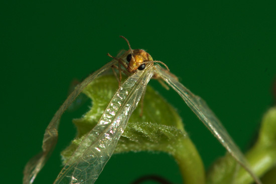 Wykorzystanie lampy b�yskowej -  Fotoszko�a Sony: Lekcja 7