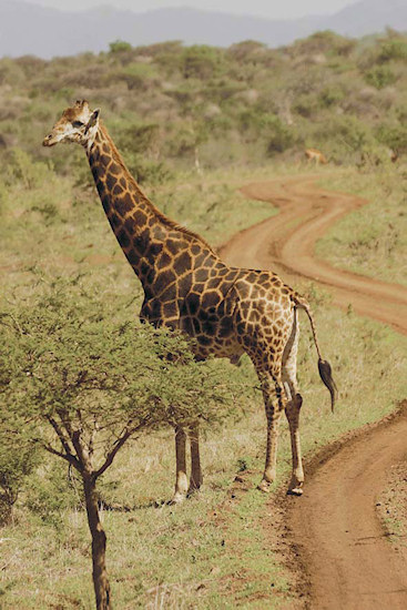 Cyfrowa fotografia podr�nicza - Cz�� 2: uk�adanie scenariusza rejestracji zdj�� cyfrowych dla publikacji podr�niczych