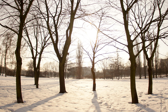 Parametry oraz typy obiektywów - Fotoszkoła Sony: Lekcja 8 Parametry oraz typy obiektywów - Fotoszkoła Sony: Lekcja 8