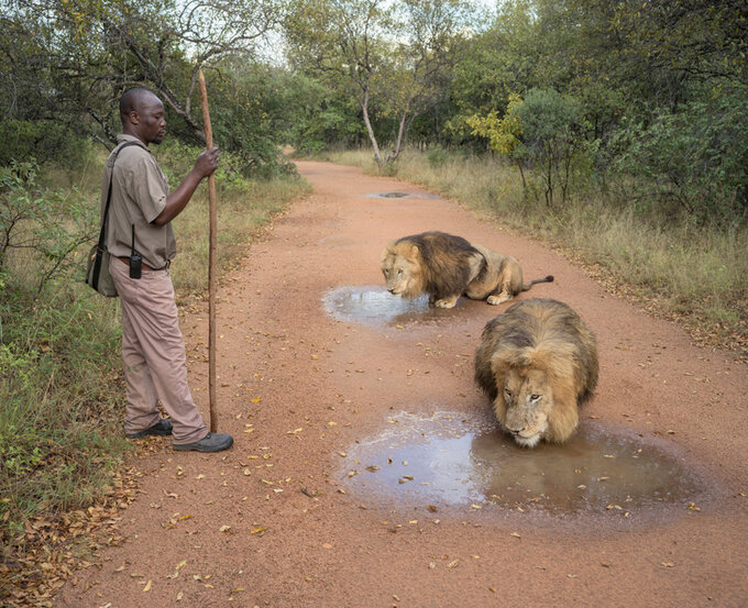 Zwycizcy Sony World Photography Awards 2025