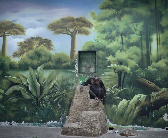 Zwycizcy Sony World Photography Awards 2025