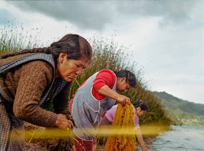 Zwycizcy Sony World Photography Awards 2025