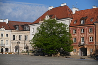 Sony FE 50-150 mm f/2 GM - zdjcia przykadowe