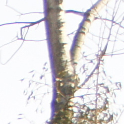 Parametry oraz typy obiektywów - Fotoszkoła Sony: Lekcja 8 Parametry oraz typy obiektywów - Fotoszkoła Sony: Lekcja 8