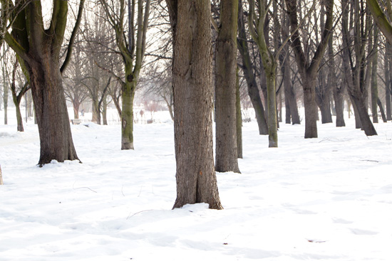 Parametry oraz typy obiektywów - Fotoszkoła Sony: Lekcja 8 Parametry oraz typy obiektywów - Fotoszkoła Sony: Lekcja 8