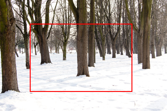 Parametry oraz typy obiektywów - Fotoszkoła Sony: Lekcja 8 Parametry oraz typy obiektywów - Fotoszkoła Sony: Lekcja 8