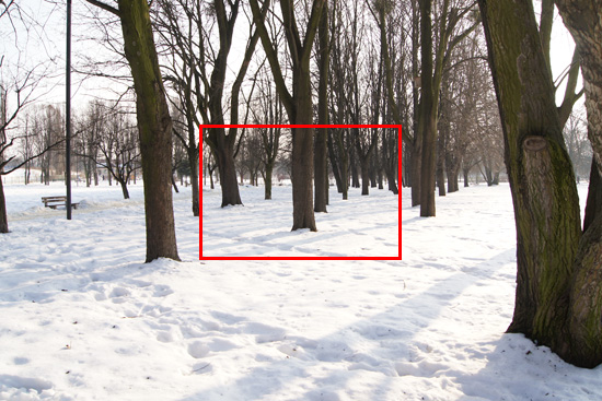 Parametry oraz typy obiektywów - Fotoszkoła Sony: Lekcja 8 Parametry oraz typy obiektywów - Fotoszkoła Sony: Lekcja 8