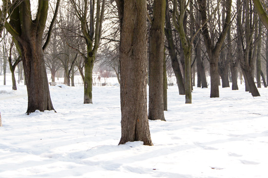 Parametry oraz typy obiektywów - Fotoszkoła Sony: Lekcja 8 Parametry oraz typy obiektywów - Fotoszkoła Sony: Lekcja 8