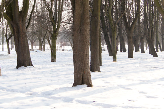 Parametry oraz typy obiektywów - Fotoszkoła Sony: Lekcja 8 Parametry oraz typy obiektywów - Fotoszkoła Sony: Lekcja 8