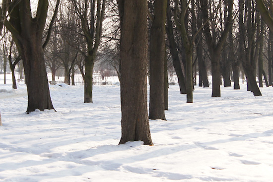 Parametry oraz typy obiektywów - Fotoszkoła Sony: Lekcja 8 Parametry oraz typy obiektywów - Fotoszkoła Sony: Lekcja 8