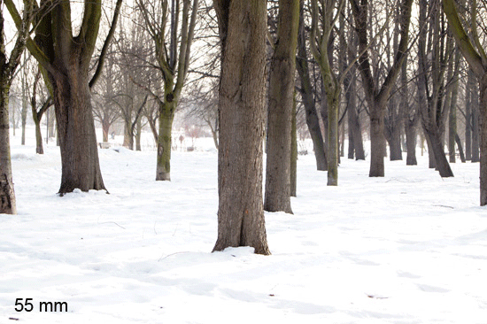 Parametry oraz typy obiektywów - Fotoszkoła Sony: Lekcja 8 Parametry oraz typy obiektywów - Fotoszkoła Sony: Lekcja 8