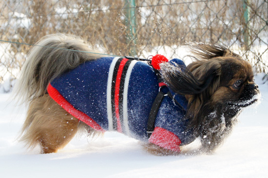 Parametry oraz typy obiektywów - Fotoszkoła Sony: Lekcja 8 Parametry oraz typy obiektywów - Fotoszkoła Sony: Lekcja 8