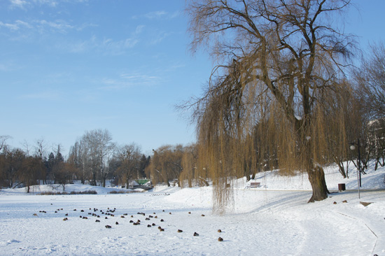 Parametry oraz typy obiektywów - Fotoszkoła Sony: Lekcja 8 Parametry oraz typy obiektywów - Fotoszkoła Sony: Lekcja 8