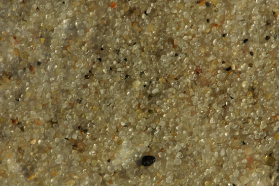 Parametry oraz typy obiektywów - Fotoszkoła Sony: Lekcja 8 Parametry oraz typy obiektywów - Fotoszkoła Sony: Lekcja 8