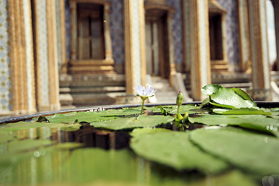 Parametry oraz typy obiektywów - Fotoszkoła Sony: Lekcja 8 Parametry oraz typy obiektywów - Fotoszkoła Sony: Lekcja 8