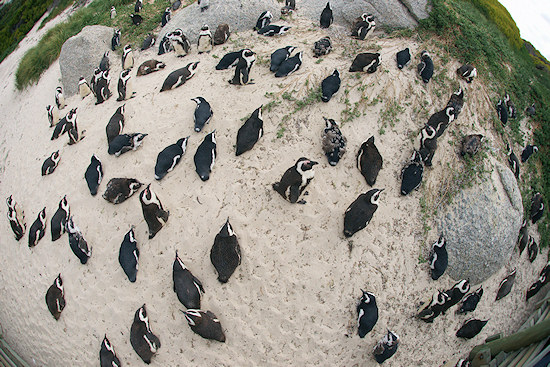 Parametry oraz typy obiektywów - Fotoszkoła Sony: Lekcja 8 Parametry oraz typy obiektywów - Fotoszkoła Sony: Lekcja 8