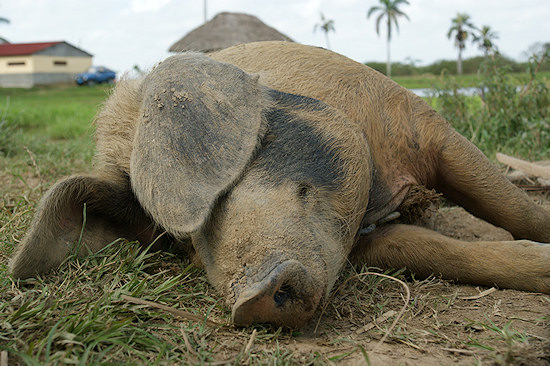 Parametry oraz typy obiektywów - Fotoszkoła Sony: Lekcja 8 Parametry oraz typy obiektywów - Fotoszkoła Sony: Lekcja 8