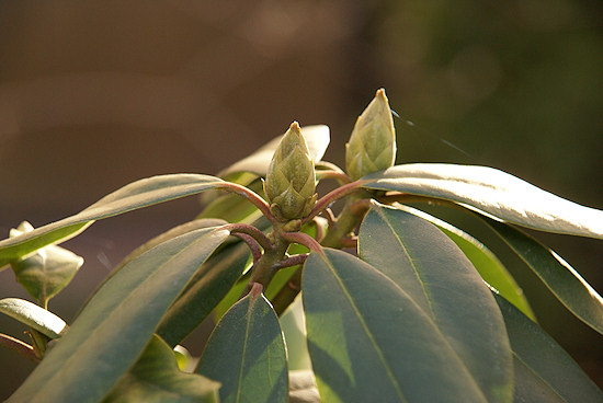 Parametry oraz typy obiektywów - Fotoszkoła Sony: Lekcja 8 Parametry oraz typy obiektywów - Fotoszkoła Sony: Lekcja 8