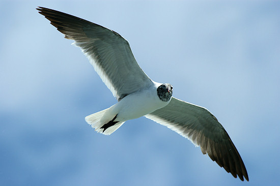 Parametry oraz typy obiektywów - Fotoszkoła Sony: Lekcja 8 Parametry oraz typy obiektywów - Fotoszkoła Sony: Lekcja 8