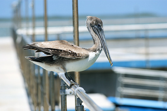 Parametry oraz typy obiektywów - Fotoszkoła Sony: Lekcja 8 Parametry oraz typy obiektywów - Fotoszkoła Sony: Lekcja 8