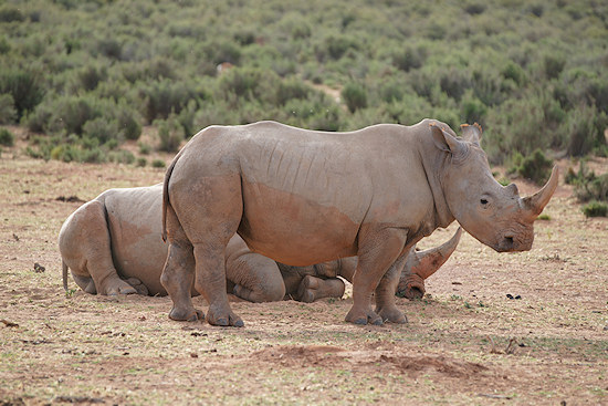 Parametry oraz typy obiektywów - Fotoszkoła Sony: Lekcja 8 Parametry oraz typy obiektywów - Fotoszkoła Sony: Lekcja 8