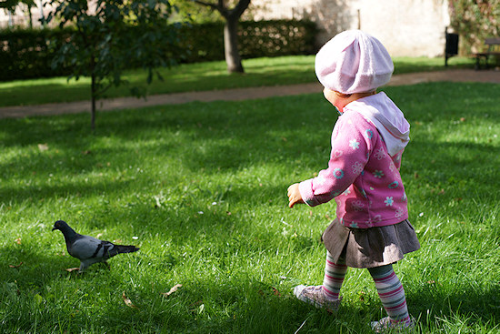 Parametry oraz typy obiektywów - Fotoszkoła Sony: Lekcja 8 Parametry oraz typy obiektywów - Fotoszkoła Sony: Lekcja 8