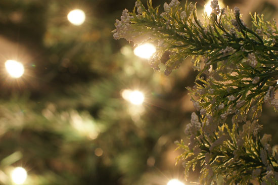 Parametry oraz typy obiektywów - Fotoszkoła Sony: Lekcja 8 Parametry oraz typy obiektywów - Fotoszkoła Sony: Lekcja 8