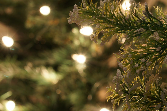 Parametry oraz typy obiektywów - Fotoszkoła Sony: Lekcja 8 Parametry oraz typy obiektywów - Fotoszkoła Sony: Lekcja 8