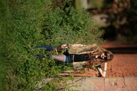 Sigma S 200 mm f/2 DG OS - zdj�cia przyk�adowe