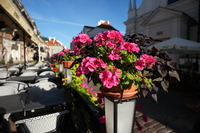 Sigma C 12 mm f/1.4 DC - zdj�cia przyk�adowe