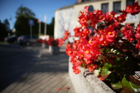 Sigma C 12 mm f/1.4 DC - zdj�cia przyk�adowe