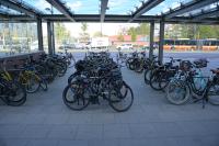 Nikkor Z 24-70 mm f/2.8 S II - zdj�cia przyk�adowe