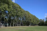 Nikkor Z 24-70 mm f/2.8 S II - zdj�cia przyk�adowe