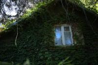 Nikkor Z 24-70 mm f/2.8 S II - zdj�cia przyk�adowe