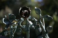 Nikkor Z 24-70 mm f/2.8 S II - zdj�cia przyk�adowe