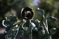 Nikkor Z 24-70 mm f/2.8 S II - zdj�cia przyk�adowe