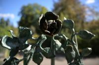 Nikkor Z 24-70 mm f/2.8 S II - zdj�cia przyk�adowe