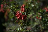 Nikkor Z 24-70 mm f/2.8 S II - zdj�cia przyk�adowe