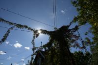 Nikkor Z 24-70 mm f/2.8 S II - zdj�cia przyk�adowe