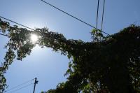 Nikkor Z 24-70 mm f/2.8 S II - zdj�cia przyk�adowe