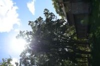 Nikkor Z 24-70 mm f/2.8 S II - zdj�cia przyk�adowe