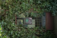 Nikkor Z 24-70 mm f/2.8 S II - zdj�cia przyk�adowe