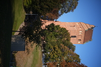 Samyang AF 85 mm f/1.8 P FE - zdj�cia przyk�adowe