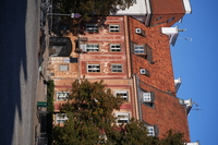 Samyang AF 85 mm f/1.8 P FE - zdj�cia przyk�adowe