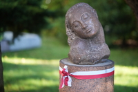 Samyang AF 85 mm f/1.8 P FE - zdj�cia przyk�adowe