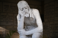 Samyang AF 85 mm f/1.8 P FE - zdj�cia przyk�adowe