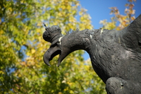 Sigma C 20-200 mm f/3.5-6.3 DG - zdjcia przykadowe