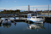 Sigma C 20-200 mm f/3.5-6.3 DG - zdjcia przykadowe