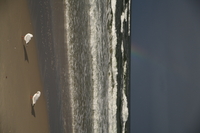 Sigma C 20-200 mm f/3.5-6.3 DG - zdjcia przykadowe